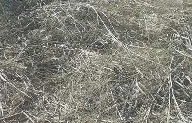 Imagem 5: TERRENO EM CONDOMINIO. 450m² de Área