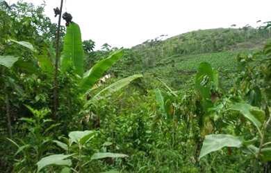 Imagem: A fazenda possui 900.000m² de Área e está localizado em