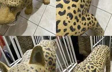 Imagem: A casa está localizado em Brejo da Guabiraba, Recife à venda