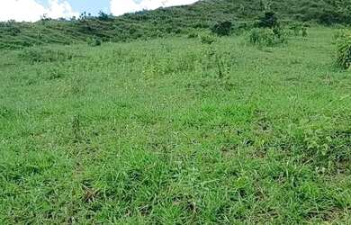 Imagem: Vende-se um terreno de 11 alq Distrito de Brejaubinha-Gov Valadares