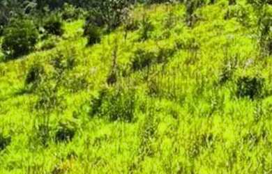 Imagem 2: QUER VIVER BEM OU INVESTIR EM TERRENOS EM TERRENOS QUE VALORIZAM CLIQUE...