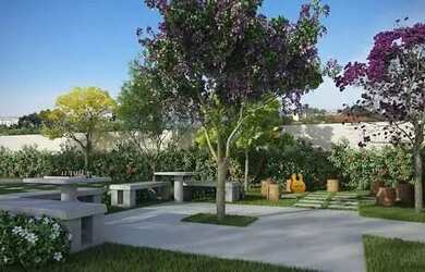 Imagem 3: Repasse ap praia de jangada