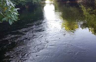 Imagem 4: FAZENDA EM IAÇU - 300 TAREFAS
