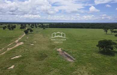 Imagem 11: EXCELENTE FAZENDA DE PLANTIO DE BANANA E PECUARIA NO NORTE DE MINAS