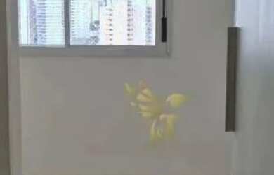 Imagem 9: Apartamento com varanda gourmet, 2 dormitórios e 2 vagas para alugar,...