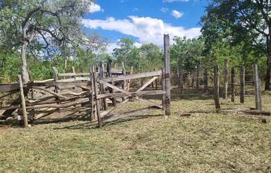 Imagem 11: Fazenda 81 uma hectares e meia valor 420.000