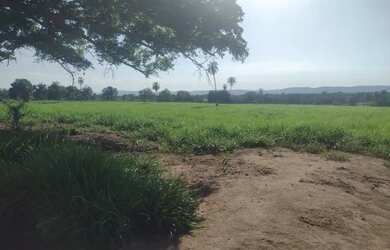 Imagem 3: Area c/ 650he, 150he formados, a 7km do asfalto, Porto de Fora-MT