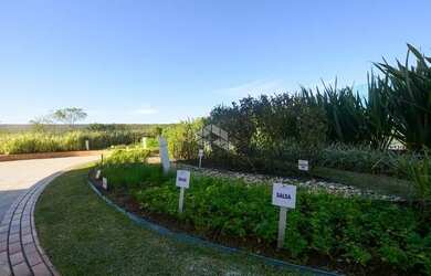 Imagem 15: Apartamento para venda tem 88 metros quadrados com 3 quartos em Trindade...