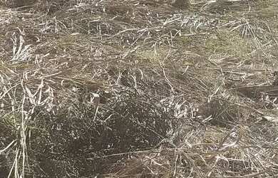 Imagem 4: TERRENO EM CONDOMINIO. 450m² de Área