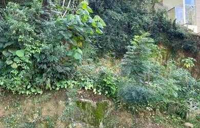 Imagem 1: Granja Carneiro Viana - Terreno à venda, 506 m² topografia aclive por...