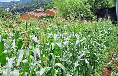 Imagem: O terreno possui 10m² de Área e está localizado em Ivoti