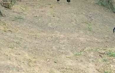 Imagem: Terreno no valpariso boa localização liga só quem quer sair