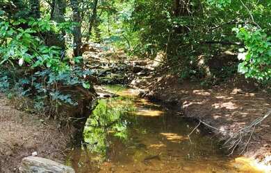 Imagem 14: VENDO SITIO NA ESTRADA DA PRODUÇÃO PROXIMO A SAMAMBAIA COM LINDAS BELEZAS...