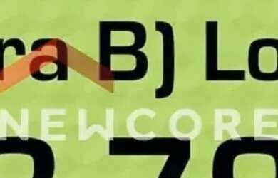 Imagem 12: Lote em Estrada Morro Grande - Jardim Ísis - Cotia/SP