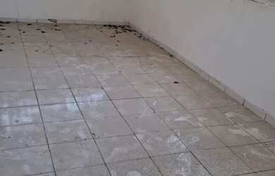 Imagem 11: Casa 5 Quartos no Rio Vermelho - Em Frente à Casa de Jorge Amado