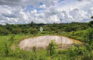 Imagem 5: Sítio Chácara 20.000m2 Aceito Carro e Casa Artur Nogueira Rico em Água Fundos Poquinha