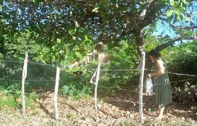 Imagem 4: Terreno na areia branca, mosqueiro