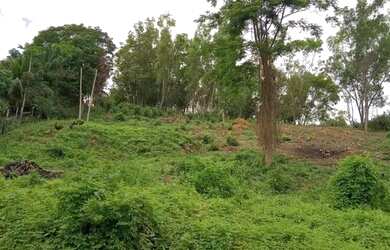 Imagem: O terreno possui 5.500m² de Área e está localizado em Papucaia