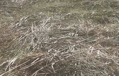 Imagem 9: TERRENO EM CONDOMINIO. 450m² de Área