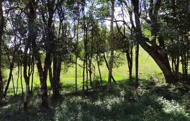 Imagem 8: Chácara na Mulada