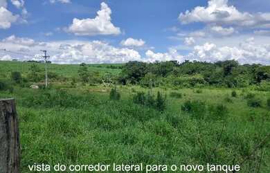 Imagem 8: Sítio Chácara 20.000m2 Aceito Carro e Casa Artur Nogueira Rico em Água Fundos Poquinha