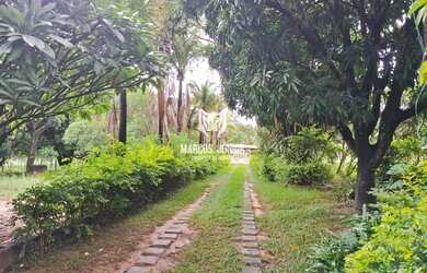 Imagem 16: EXCELENTE CHACARA A 23 KM DE MONTES CLAROS ESTRUTURADA DE 10 MIM M2