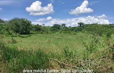 Imagem 14: Sítio Chácara 20.000m2 Aceito Carro e Casa Artur Nogueira Rico em Água Fundos Poquinha