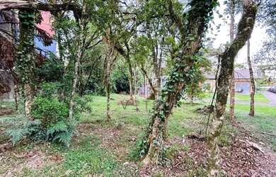 Imagem 7: Terreno à Venda em Canela