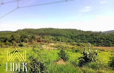 Imagem 3: QUER VIVER BEM OU INVESTIR EM TERRENOS EM TERRENOS QUE VALORIZAM CLIQUE...