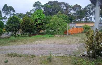 Imagem 16: Chacara local alto e ensolarado
