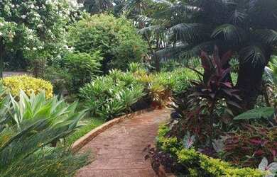 Imagem 10: MANSÃO PARA ALUGAR, 9.730M2 SETOR COIMBRA, GOIÂNIA - GO