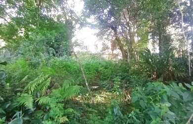 Imagem 3: Area - Bairro Planalto. 800m² de Área