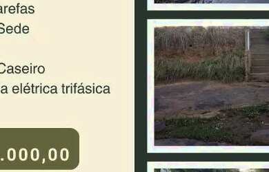Imagem: A fazenda e está localizado em Iaçu, BA à venda por R$2.000.000