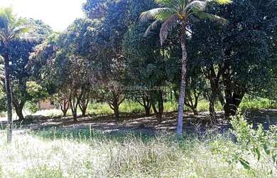 Imagem: A fazenda possui 10m² de Área e está localizado em Centro