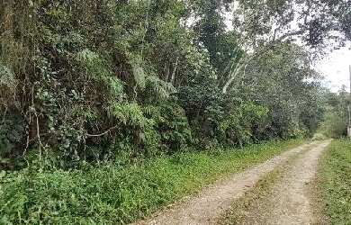 Imagem: O terreno à venda possui e está localizado em Colônia, Ribeirão