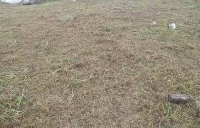 Imagem: O terreno possui 360m² de Área e está localizado em Areias