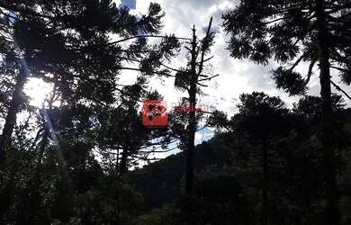 Imagem 12: Casarão no Condomínio Portal da Mantiqueira, Santo Antônio do Pinhal