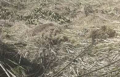 Imagem 8: TERRENO EM CONDOMINIO. 450m² de Área