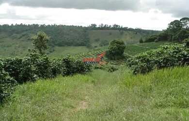 Imagem: VIçOSA - Fazenda - Área Rural de Viçosa