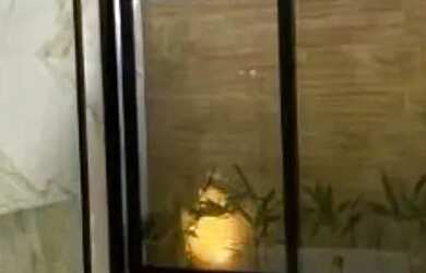 Imagem 5: Casa à venda no bairro Parque Residencial Damha VI - São José do Rio Preto/SP, Zona Leste