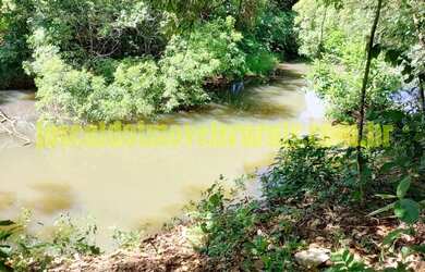 Imagem 3: Sítio 2,50 hectares, muita água, entre Uberlândia e Monte Alegre