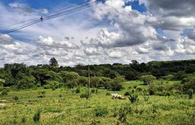 Imagem 7: Sítio Chácara 20.000m2 Aceito Carro e Casa Artur Nogueira Rico em Água Fundos Poquinha