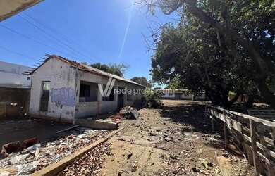 Imagem 2: Área na Av. José Paulíno em Paulínia