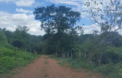 Imagem 5: Venda de lote. 3.500m² de Área