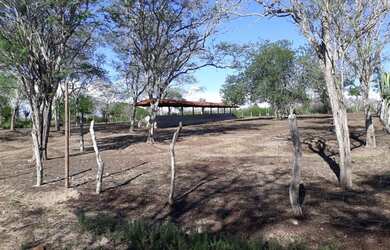 Imagem 2: Fazenda em Ipirá BA. 120.000m² de Área Privada