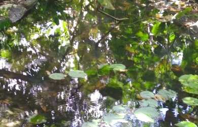 Imagem 9: Linda fazenda com 165 há e uma estrutura de primeira qualidade