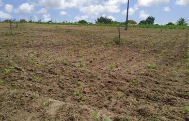 Imagem 12: Linda fazenda com 165 há e uma estrutura de primeira qualidade