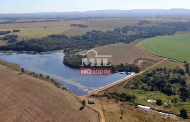Imagem: Propriedade com irrigação no Vale do Araguaia-GO