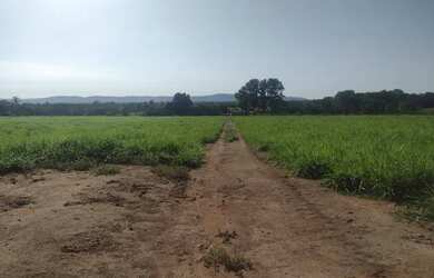 Imagem 2: Area c/ 650he, 150he formados, a 7km do asfalto, Porto de Fora-MT