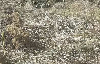 Imagem 2: TERRENO EM CONDOMINIO. 450m² de Área